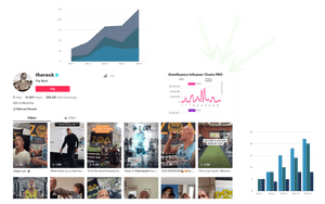 TikTok Influencer Insight | Omnifluence