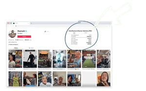 TikTok Influencer Insight | Omnifluence